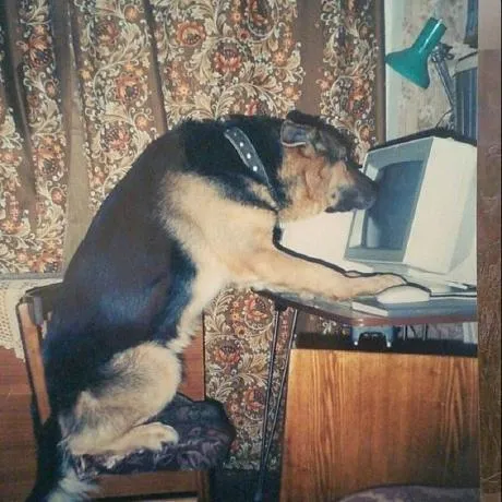 Maksym Koval (avatar)