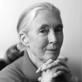 Profilovka člena klubu