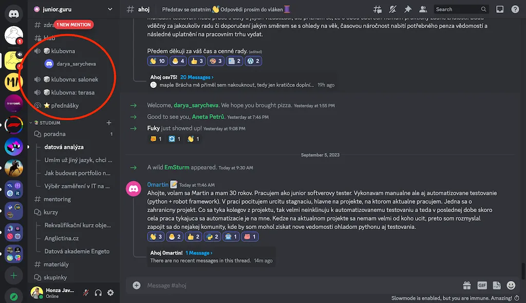 Snímek obrazovky, Discord