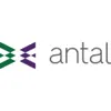 Logo Antal International s.r.o.