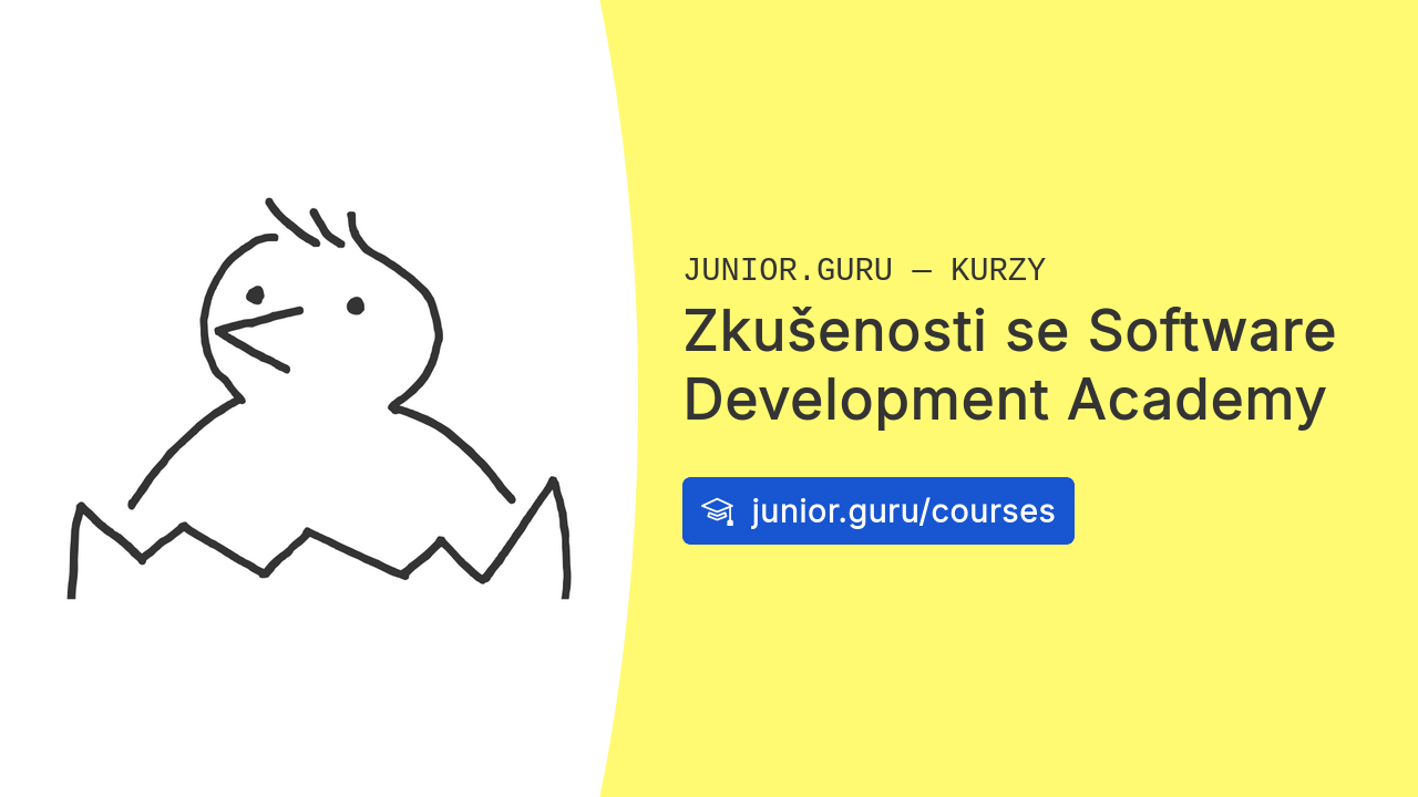 Zkušenosti se Software Development Academy
